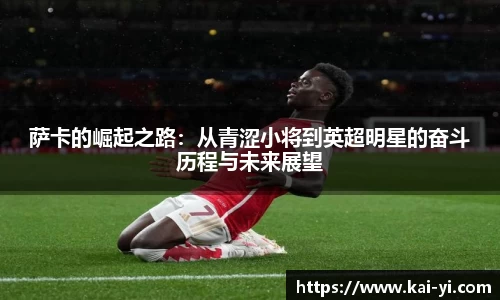 bsports官网